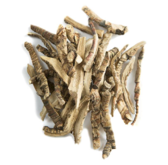 Calamus Root Essential Oil
