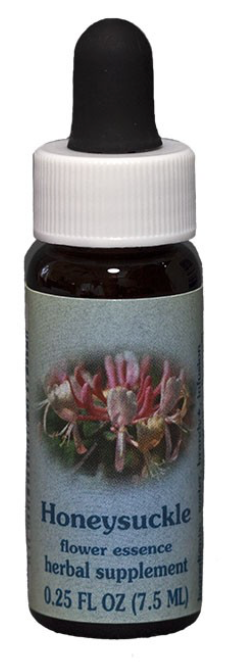 Flower Essence Honeysuckle