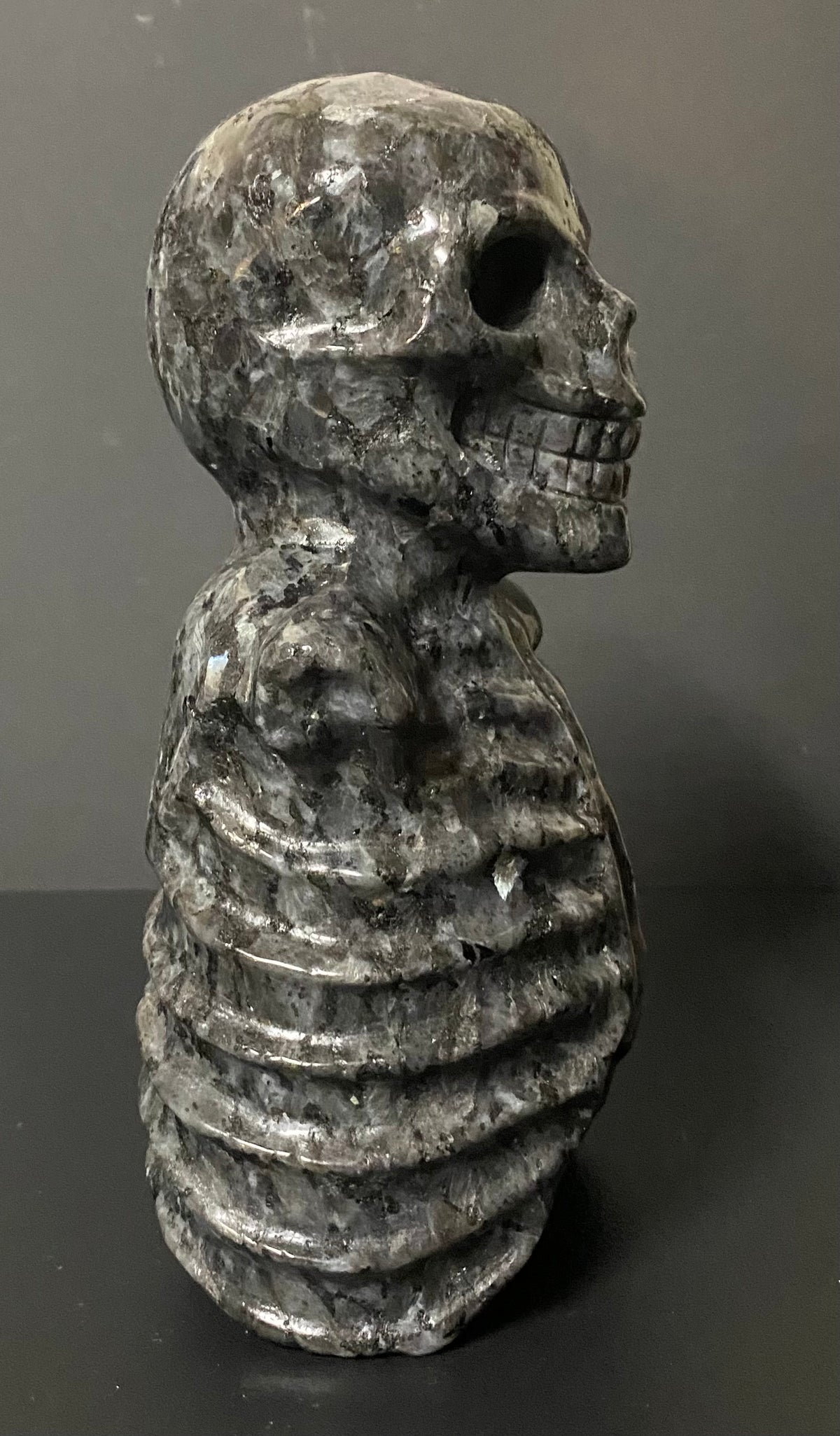 A carved black stone Larvikite bust sculpture shaped like a human torso with a skull head, shown in profile against a dark gray background.