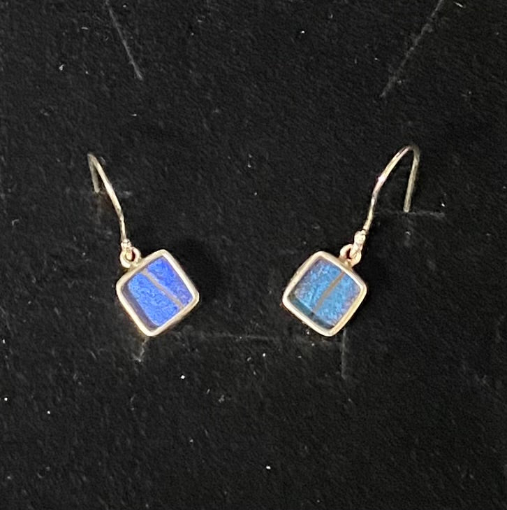 A pair of sterling silver drop earrings with square blue butterfly specimen, displayed on a textured black background.
