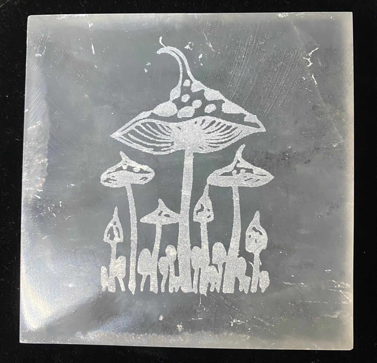 Decorative stone with engraved mushrooms on a black background