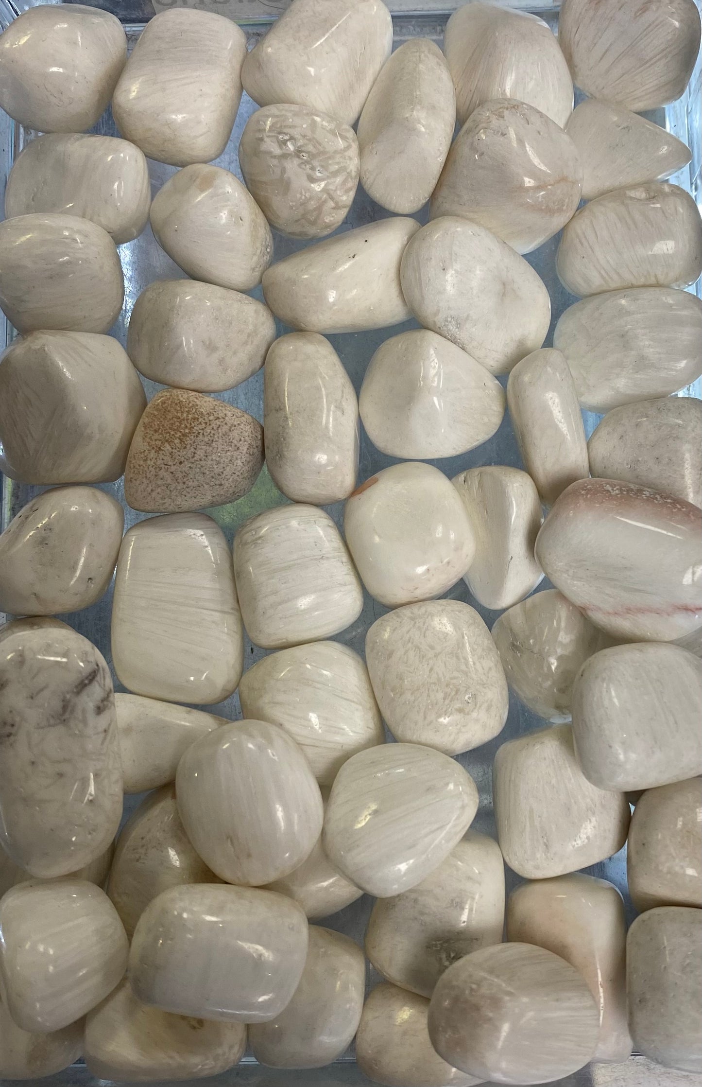 Close-up of light-colored pebbles or stones on a reflective surface