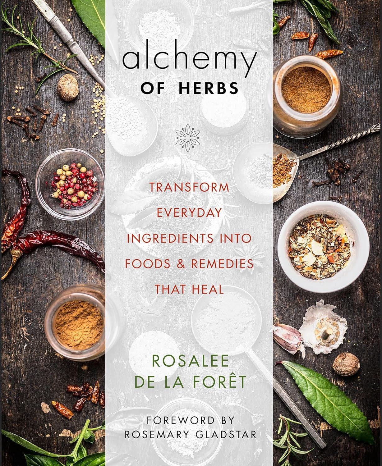 Image of the front cover of the book