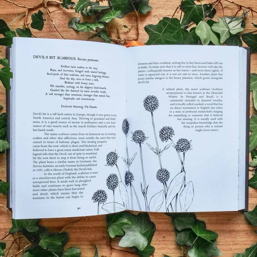 Open book with botanical illustrations and text on a wooden surface with green leaves.