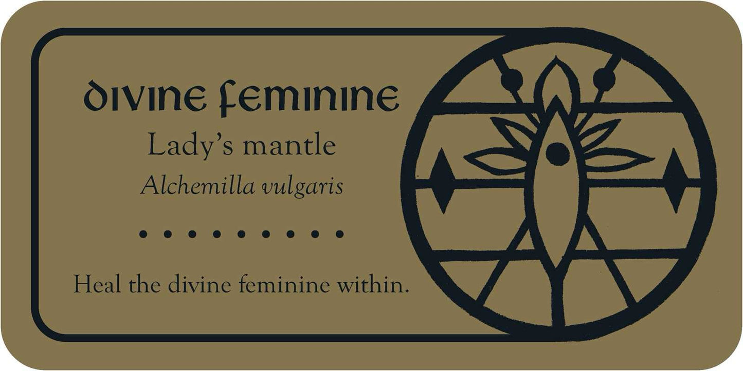 Label for 'Lady's mantle' with text and symbol on a beige background