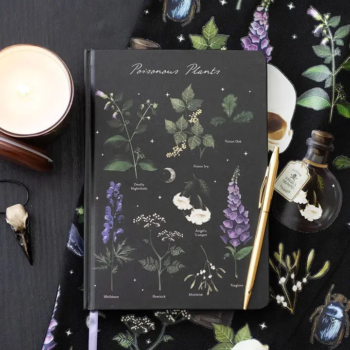 Notebook with botanical illustrations on a dark surface with candles and plants.
