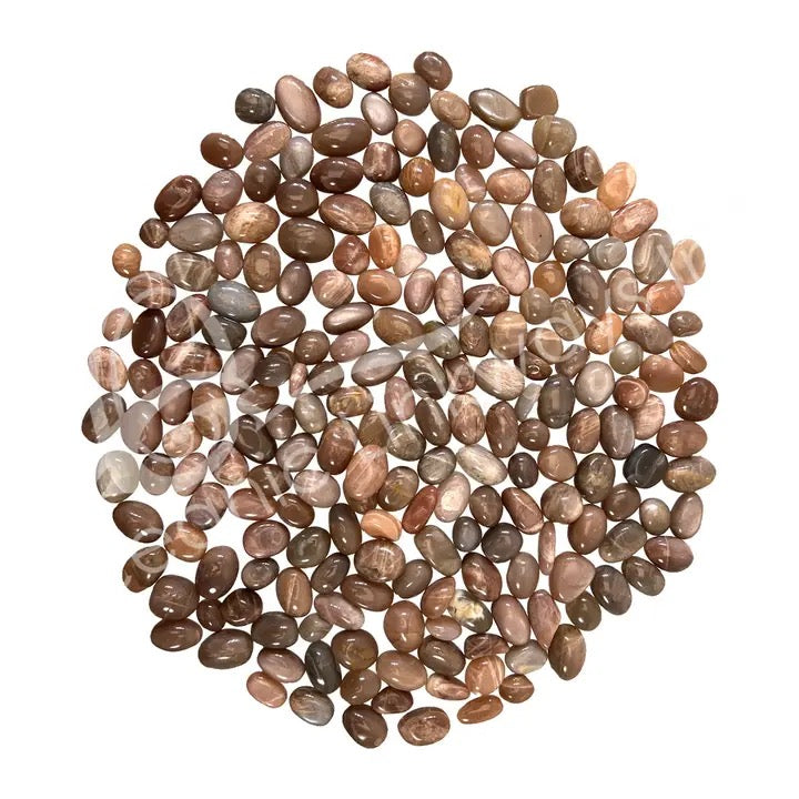 Round pebbles in various shades of brown on a white background