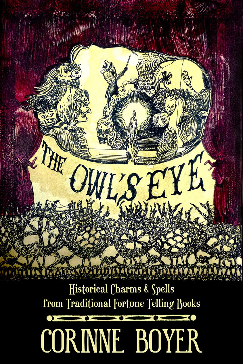 Book cover of 'The Owl's Eye' by Corinne Boyer with mystical design and text.