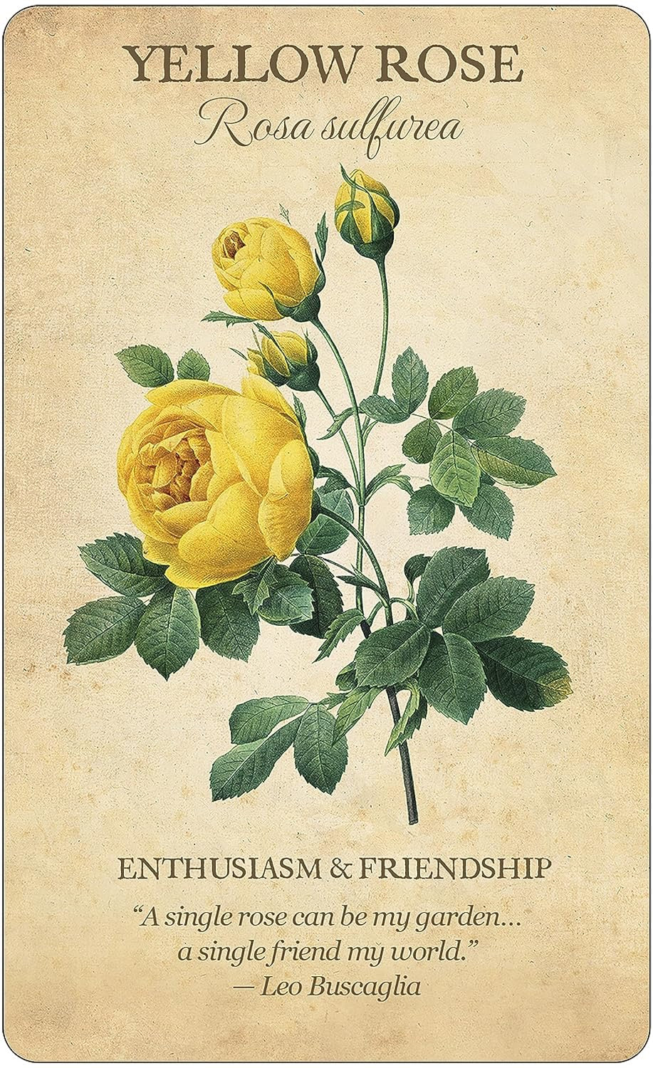 Botanical Inspirations Deck yellow rose
