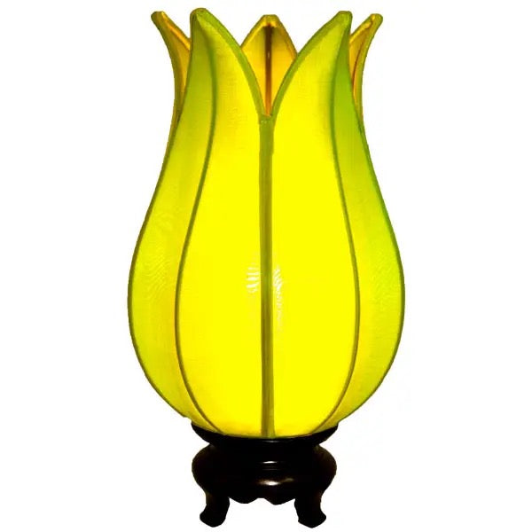 Lamp Tulip Flowering Green
