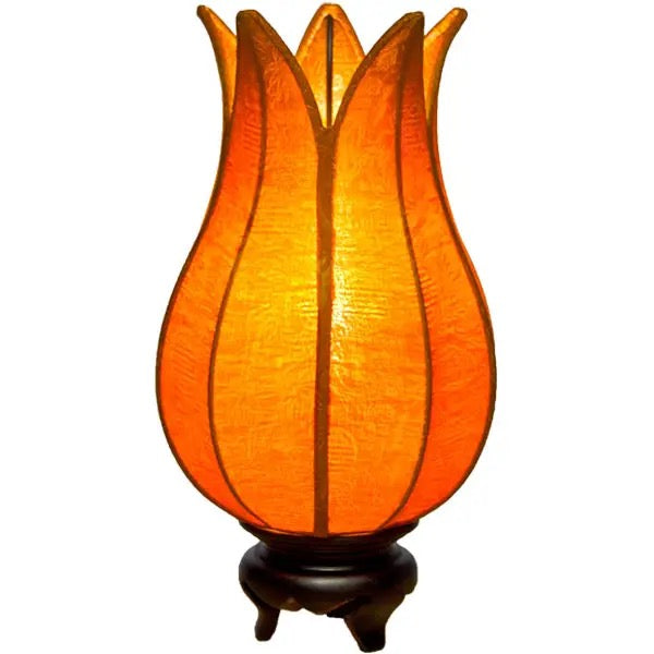 Lamp Tulip Flowering Sun Golden