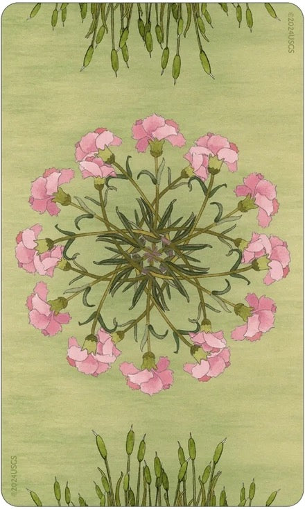 Card with pink flowers and green leaves on a green background