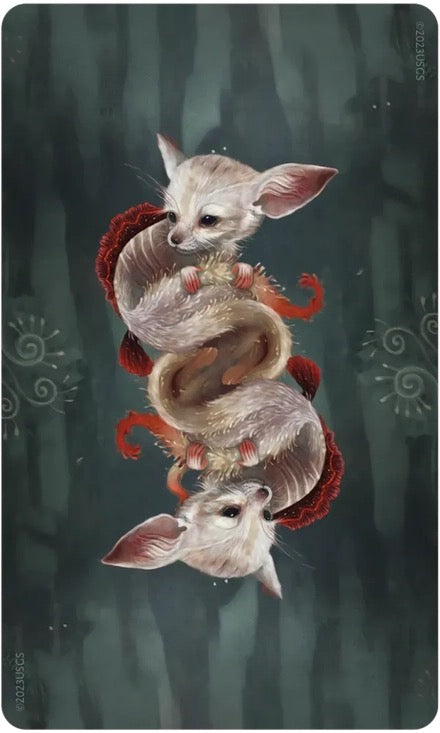 Illustration of a small creature with large ears on a dark green background