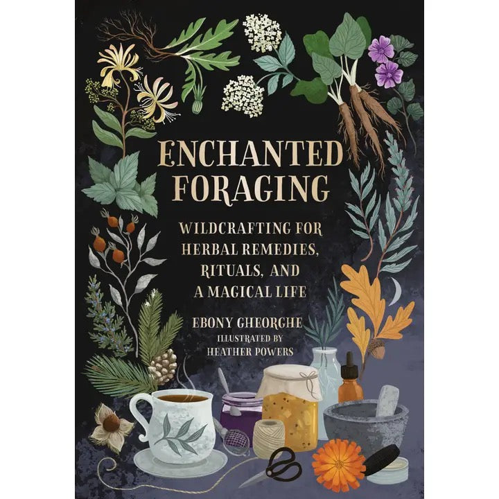 Book cover of 'Enchanted Foraging' with illustrations of plants and a cup on a dark background.