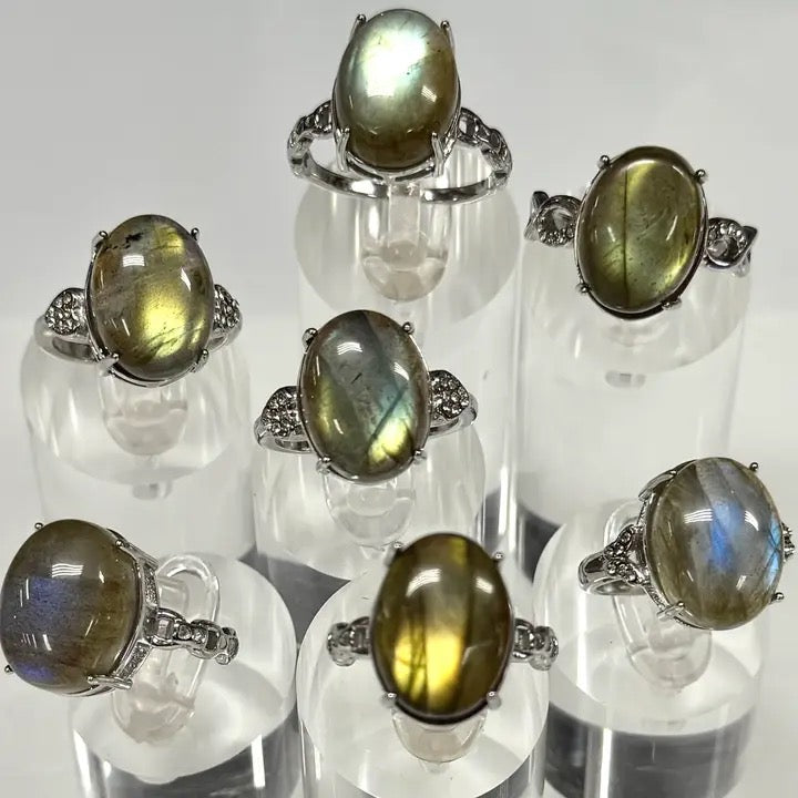 Set of Labradorite rings on clear stands against a white background