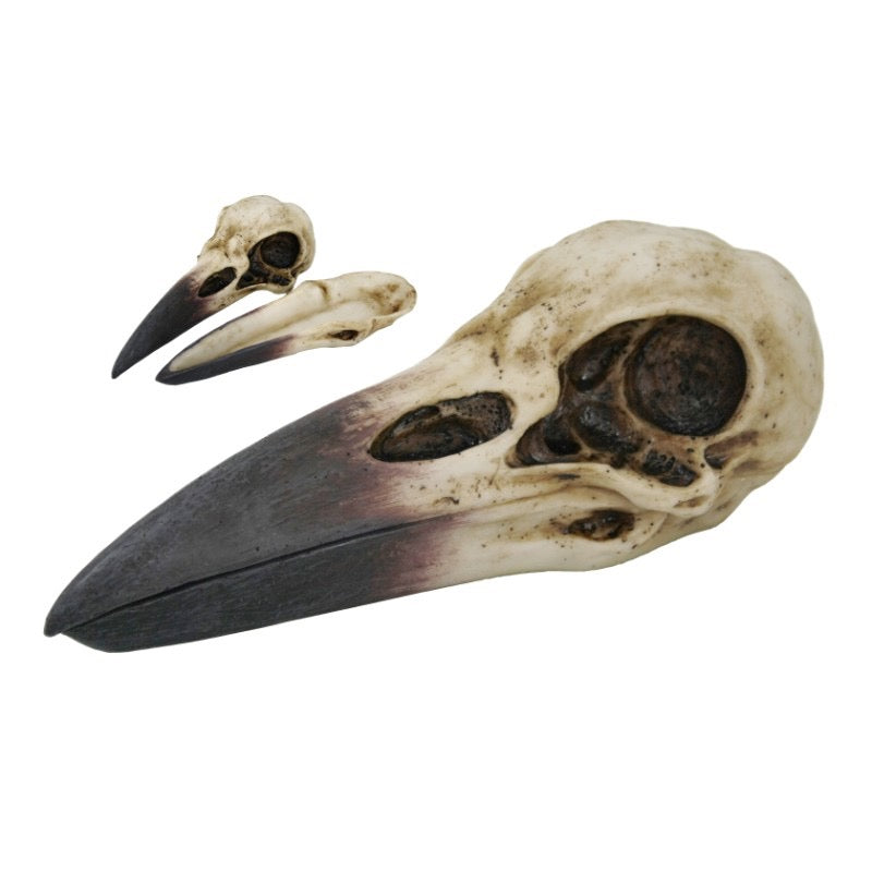 Skull Raven