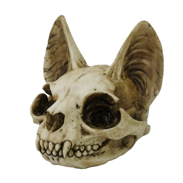 Skull Cat Head