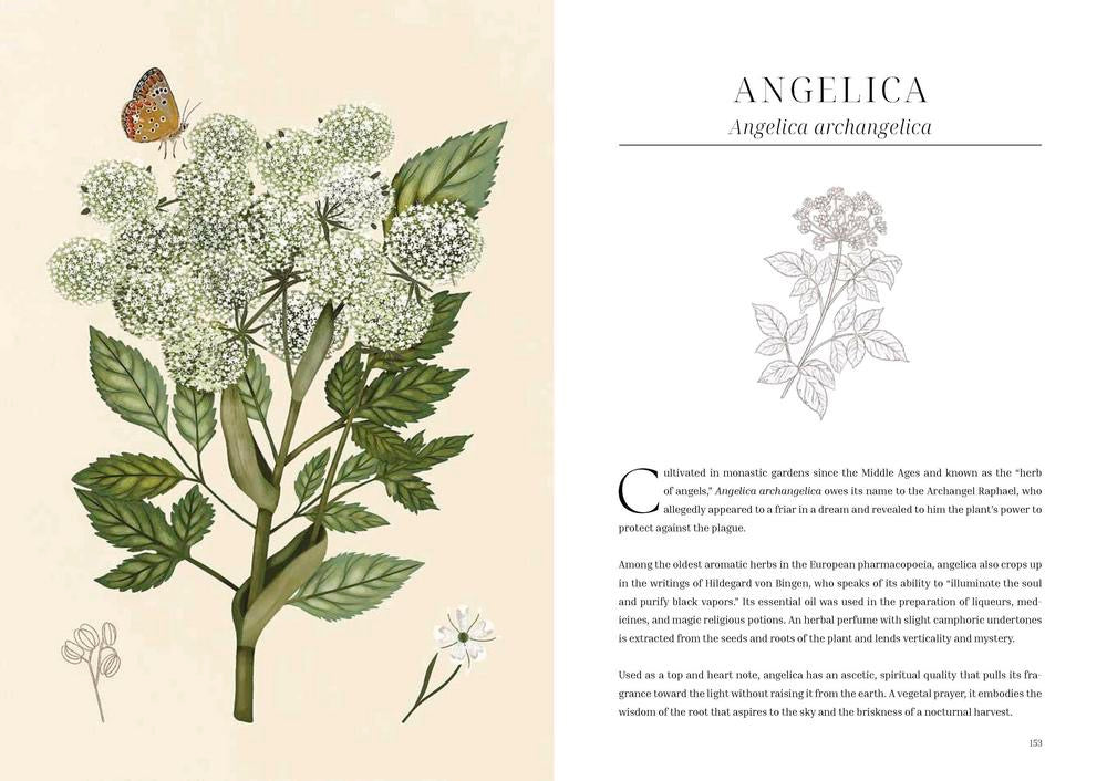 Olfactory Code book page Angelica