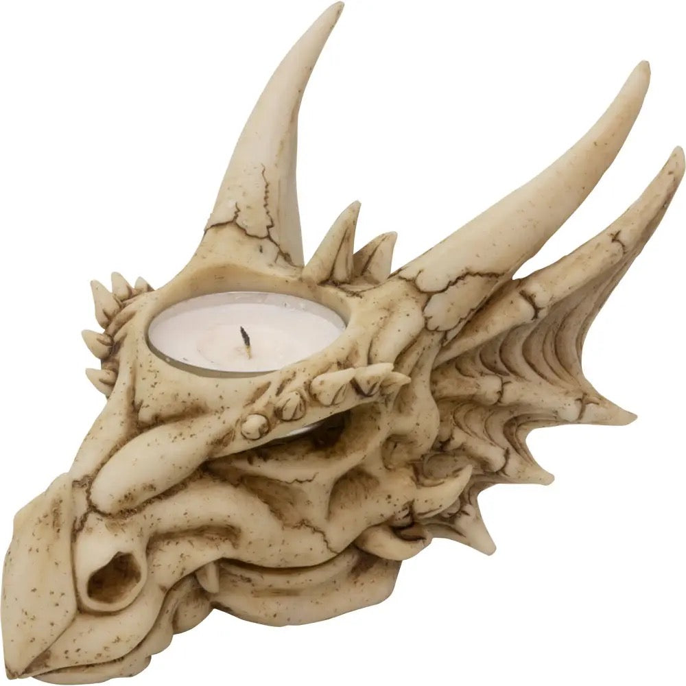 Dragon skull candle holder with a candle inside on a white background