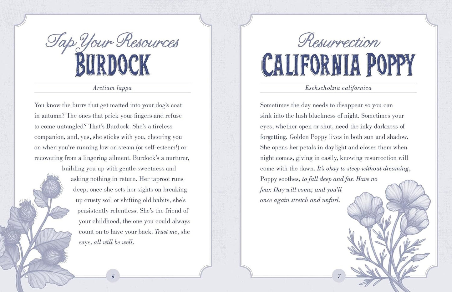 Two pages from a book or document with text and floral illustrations on a light blue background.