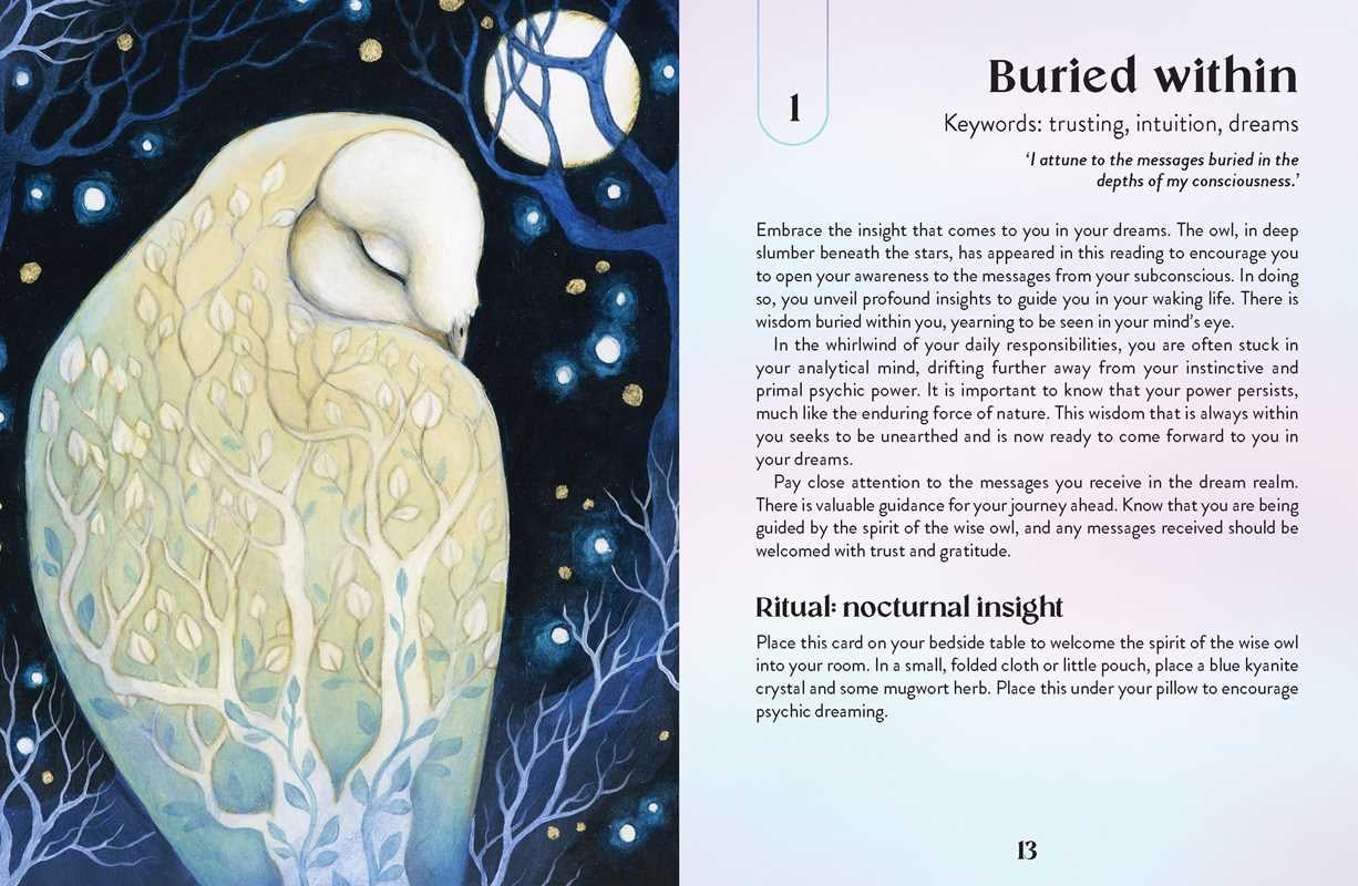 Illustration of a swan with mystical elements and text on a dark background