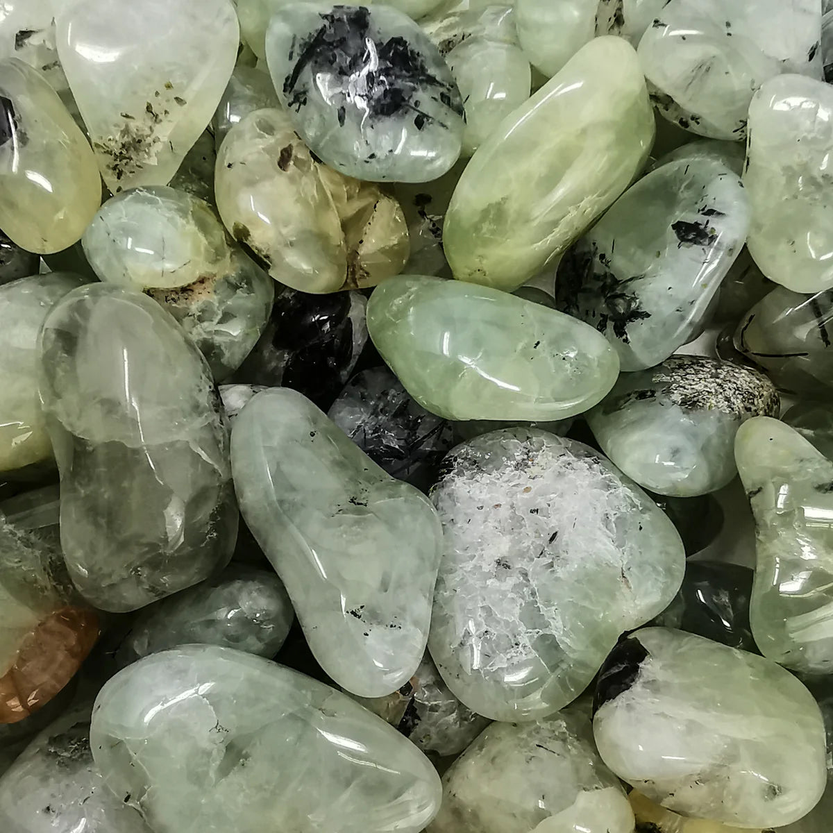 Prehnite Tumbled 4.00