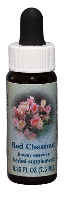 Flower Essence Red Chestnut