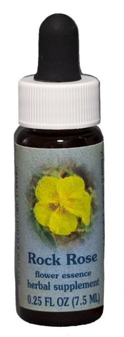 Flower Essence Rock Rose