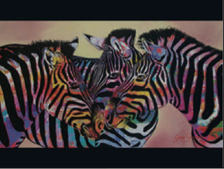 Greeting Card Zebra Rainbow Blank