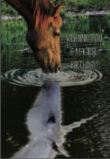 Greeting Card Horse Pool Unicorn Birthday