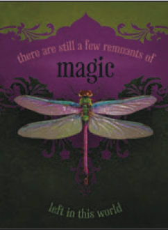 Greeting Card Dragonfly Magic Friendship