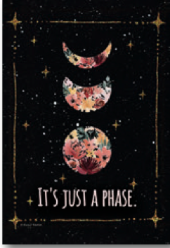 Magnet It's Just A Phase