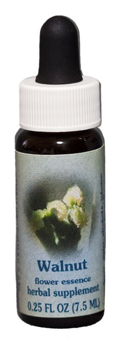 Flower Essence Walnut