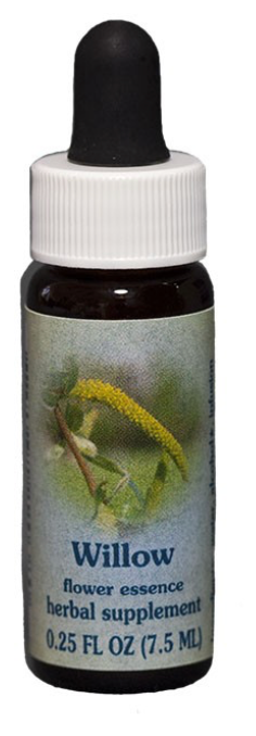 Flower Essence Willow