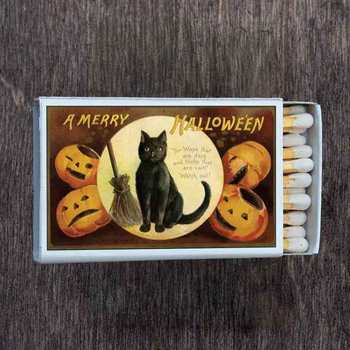 black cat surounded by carved pumpkins
, black and orange