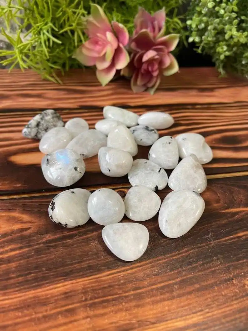 Close-up of white stones with rainbow flash and black spots