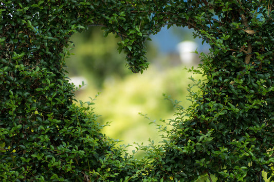 Image of heart through a hedge