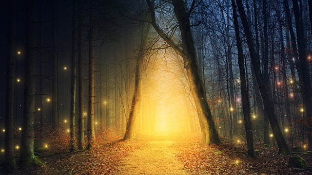 Faerie Light Forest Path