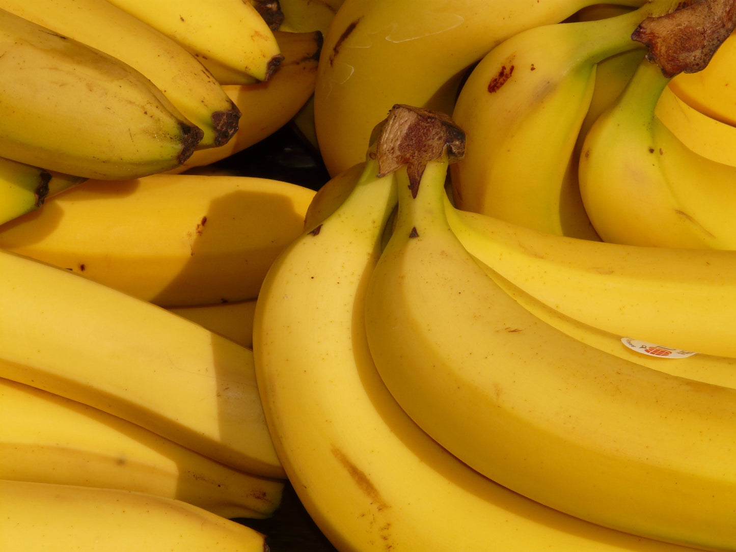 close up of bananas