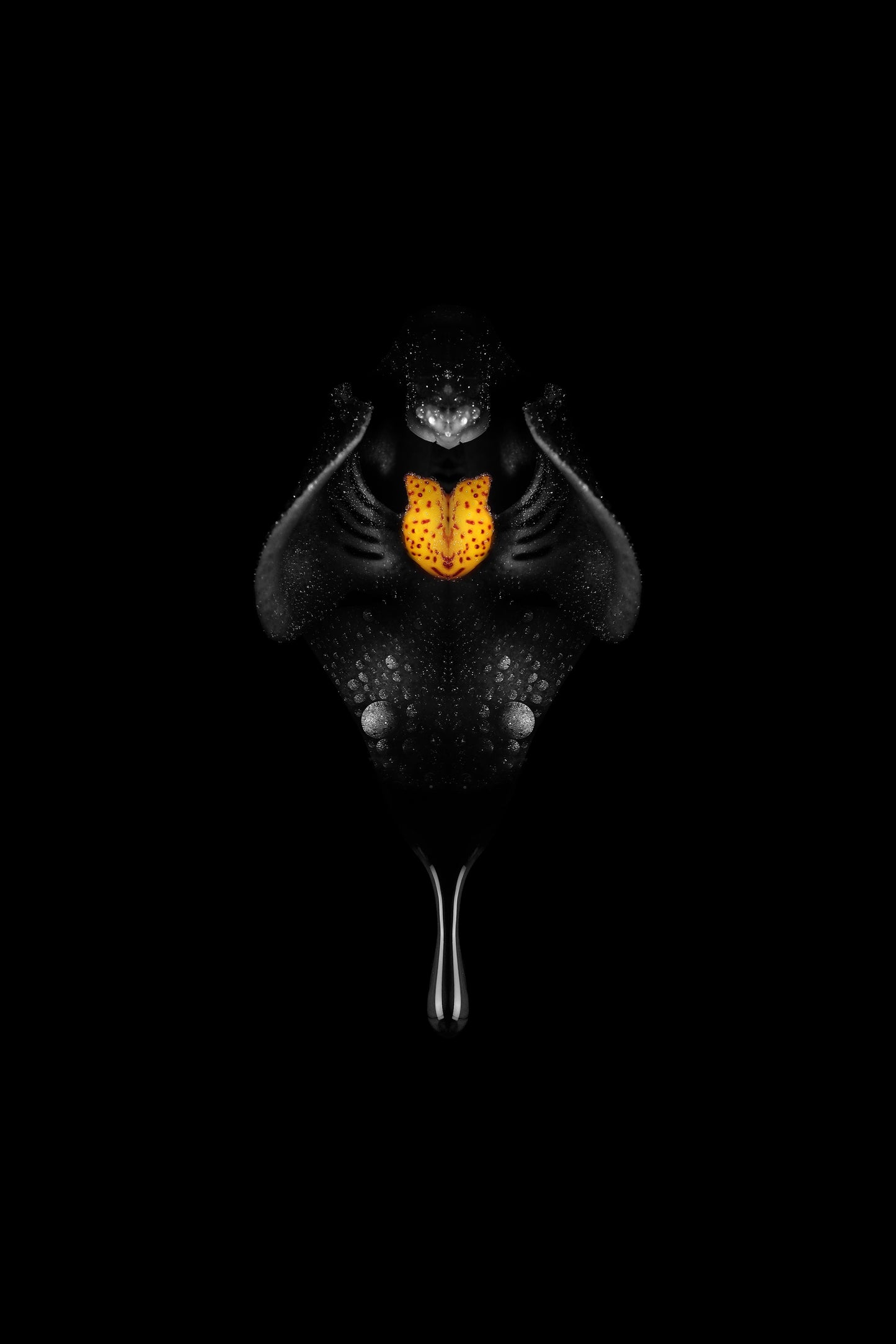 Black orchid with glowing orange center dripping like oil on a black background