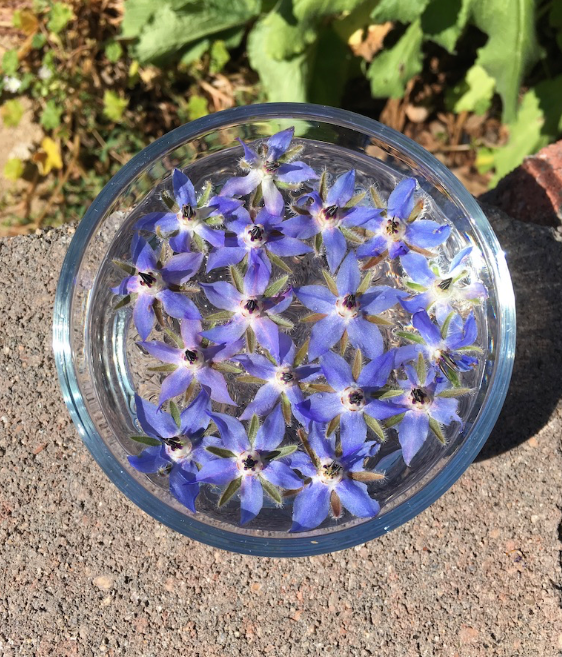 A top-down view of a clear glass bowl filled with small purple flowers, placed on a textured stone surface outdoors with green foliage in the background.