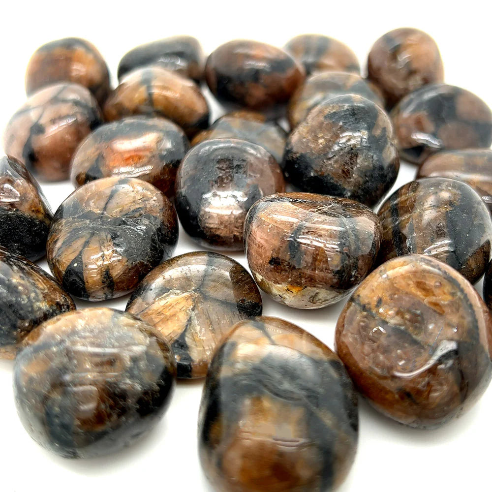 round, tumbled, pieces of polished brown stones with black "x"s