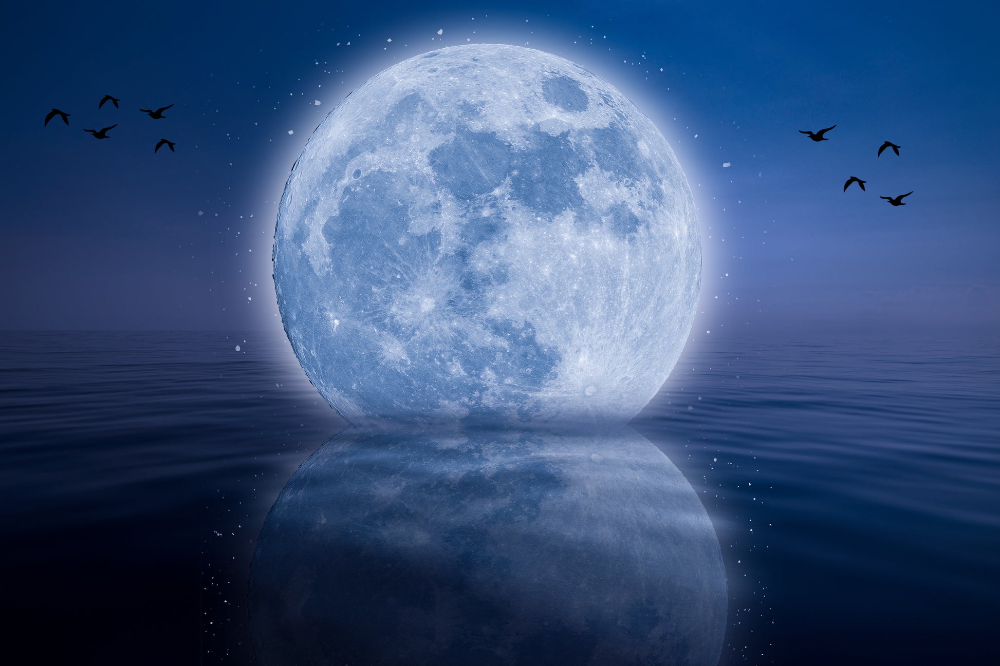Full moon dipping into water with birds