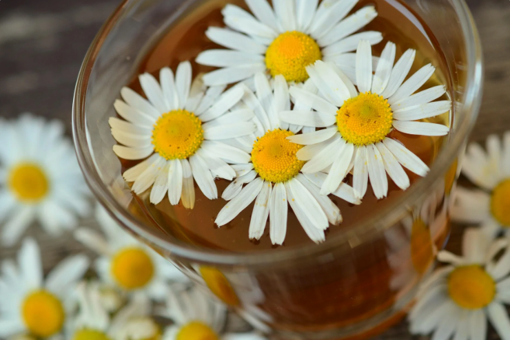 Glass of honey with chamomile floating on top, surrounded by more daisies.
