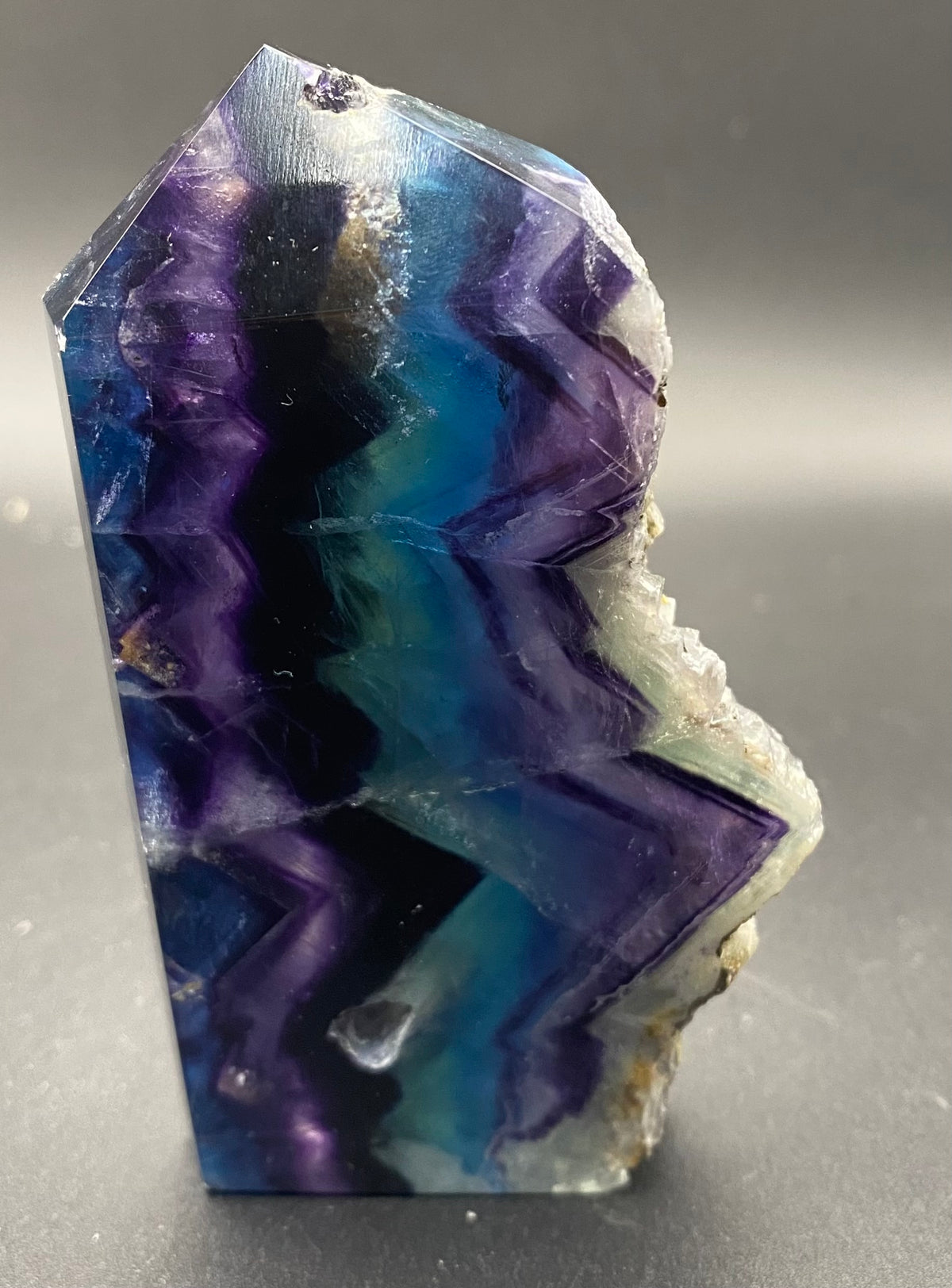 A natural fluorite crystal point specimen with striking bands of deep purple, blue, and teal, standing upright on a neutral gray surface.
