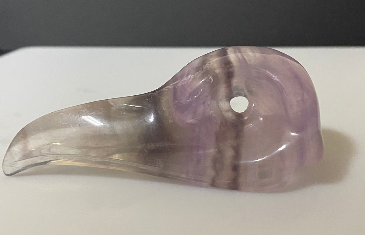 A carved fluorite bird skull, shaped like a raven head with a central hole, resting on a white surface with a dark gray background.
