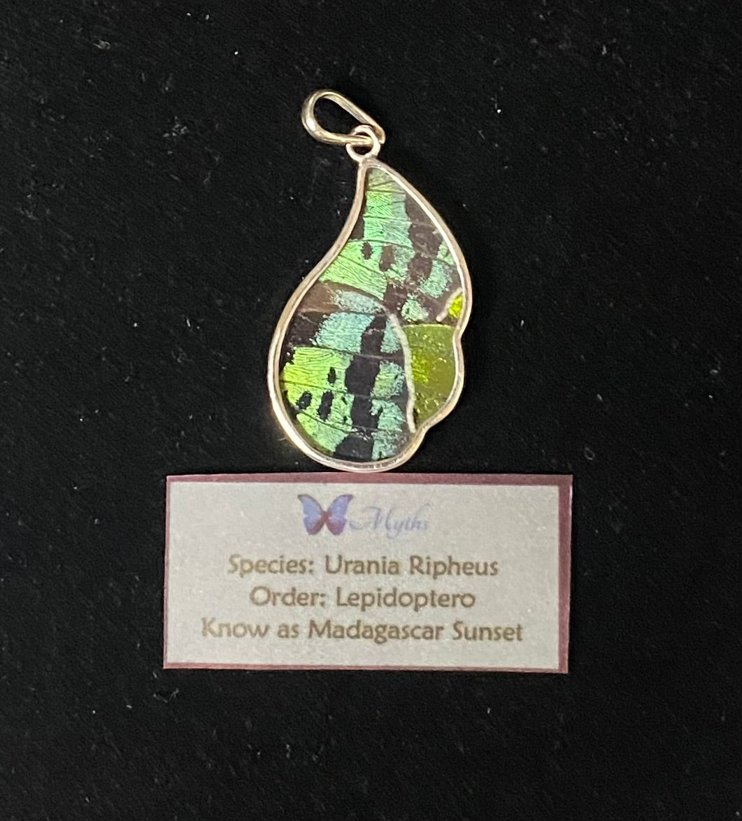 A teardrop-shaped butterfly pendant featuring a green, black, and yellow iridescent Urania Ripheus wing, displayed above a card labeled 'WMyth' with species details.