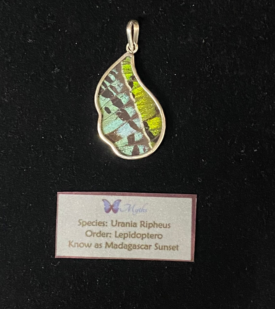 A teardrop-shaped butterfly pendant featuring a green and blue Morpho butterfly wing inlay set in a silver-tone bezel, displayed on a black background with a descriptive card below.