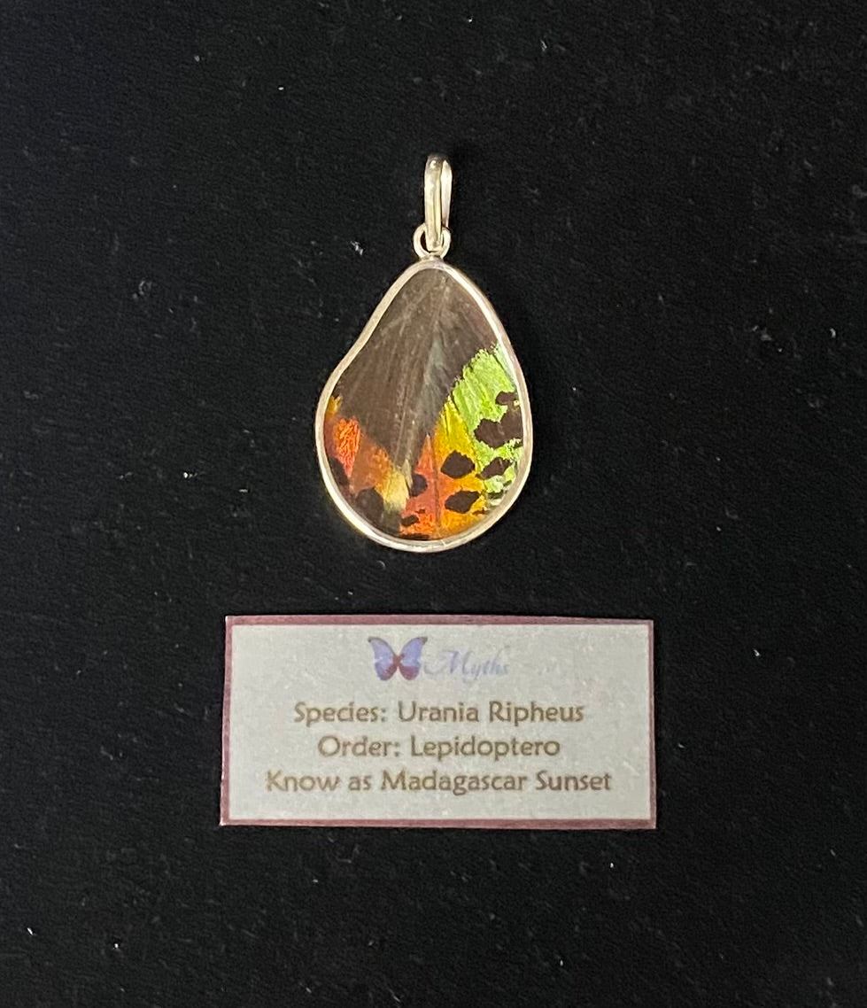 A teardrop-shaped pendant featuring a preserved butterfly wing specimen with vivid green, orange, and yellow patterns on a dark background, displayed above a small product label card on a black surface.