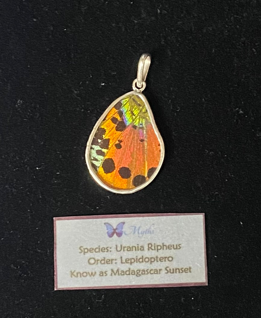 A teardrop-shaped pendant featuring a colorful butterfly wing design with orange, yellow, black, and green hues, set in a silver-toned metal frame. Below the pendant is a small card with text identifying the butterfly species as Urania Ripheus and the design as Madagascar Sunset.